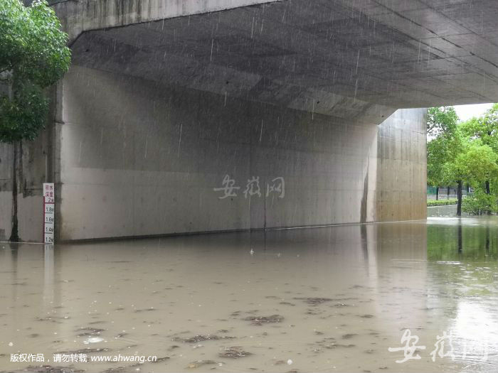 TIM圖片20190621081822