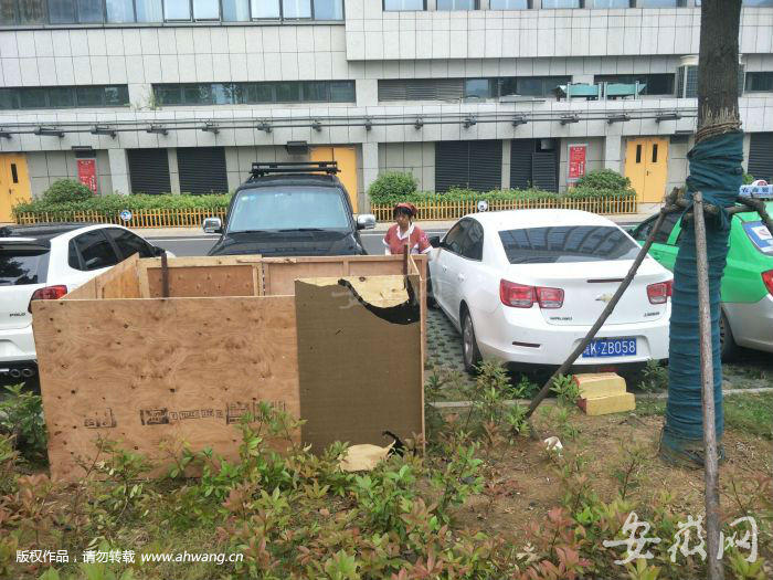 QQ图片20190617135235