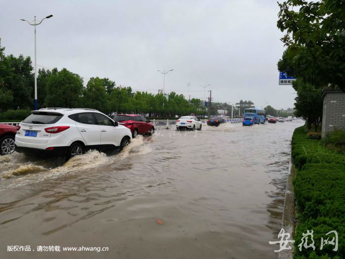 TIM圖片20190621090224
