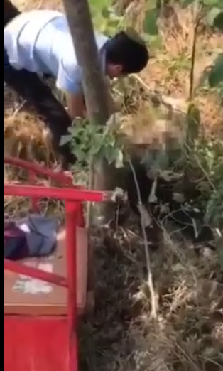 TIM圖片20190604101838