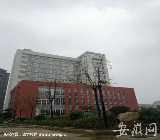 QQ圖片20190626220026