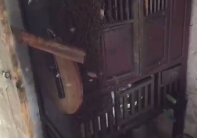 TIM圖片20190612153358