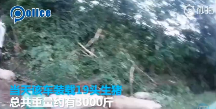 QQ图片20190706180648