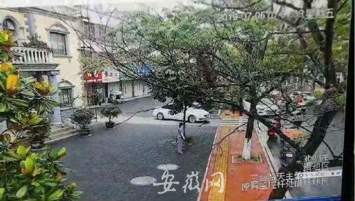 QQ圖片20190709202336