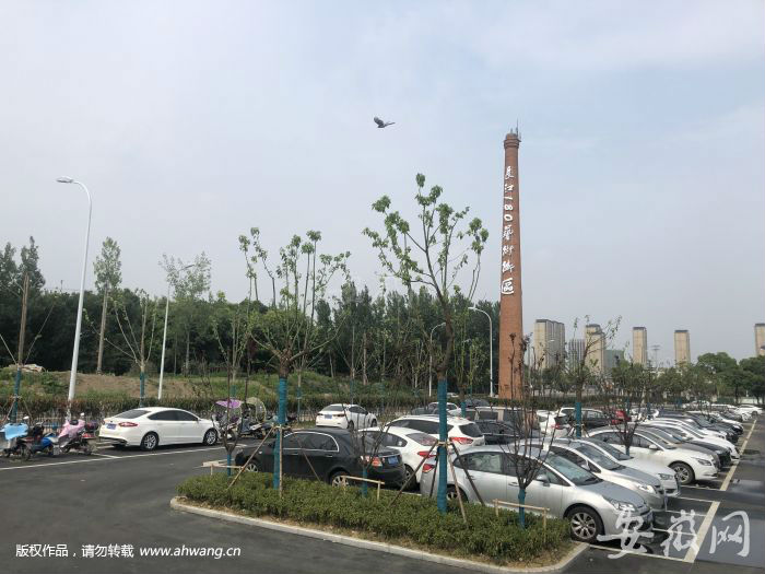 QQ圖片20190711153902