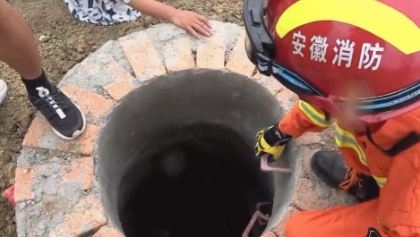 QQ圖片20190703155643