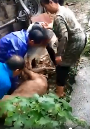 QQ图片20190706180705