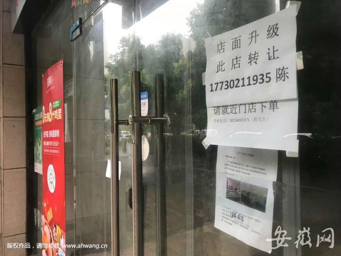 合肥多家呆蘿卜門店近期關門 回應：升級 換地址