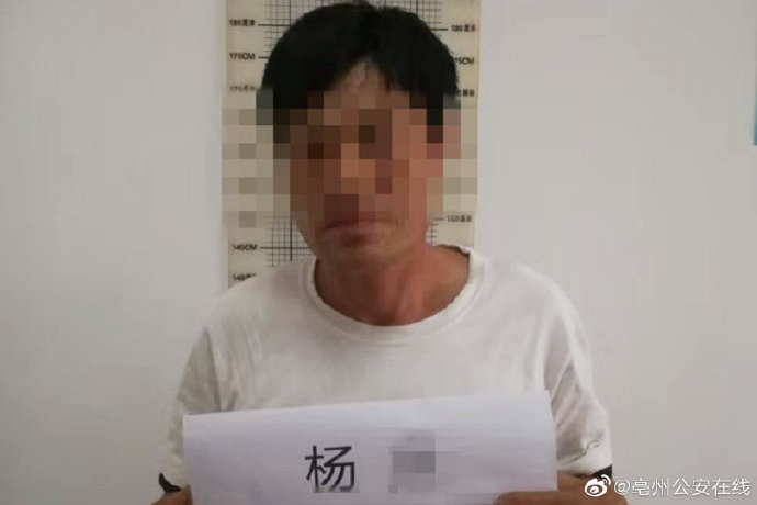 在外省作案潜逃回乡 被亳州民警抓获