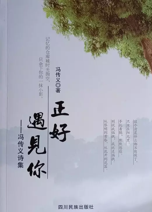 安徽籍诗人冯传义诗集 《正好遇见你》出版