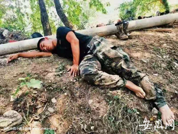 QQ圖片20190815102702