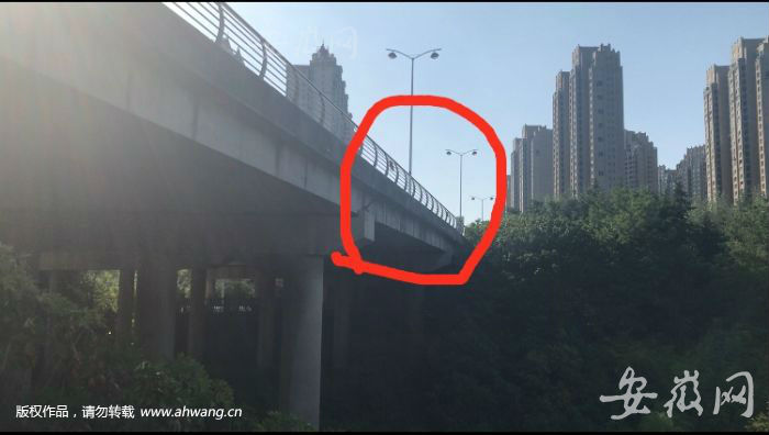 QQ圖片20190816170031
