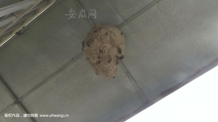 QQ图片20190814212113