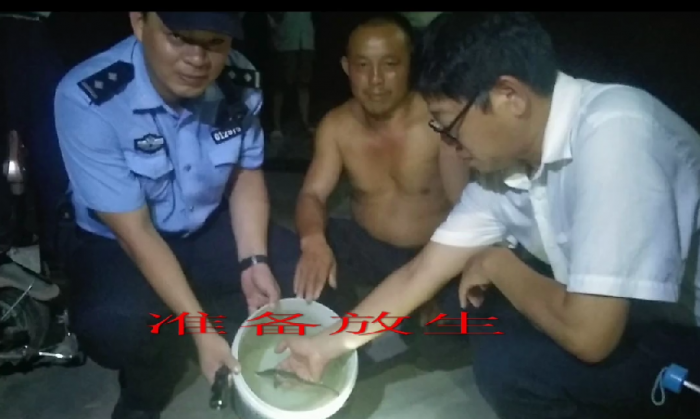 QQ圖片20190823111705