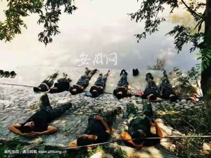 QQ圖片20190815102712