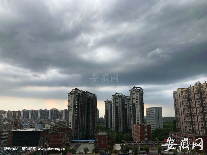 QQ圖片20190802172412