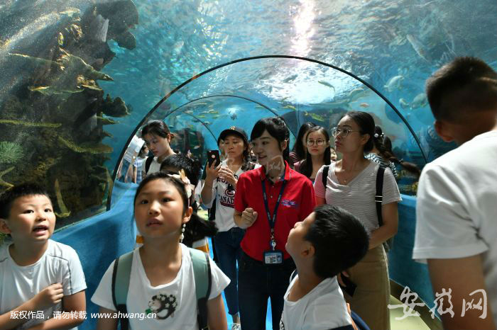 孩子們在海洋世界參觀