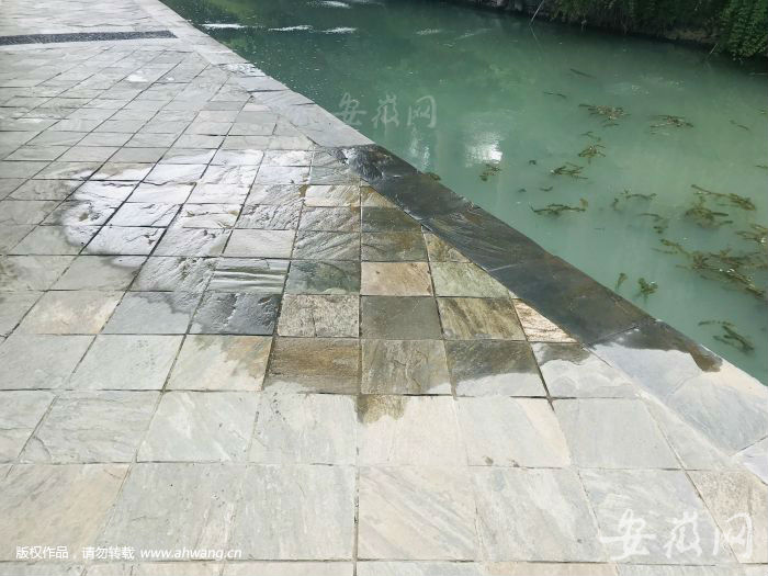 QQ圖片20190816170034