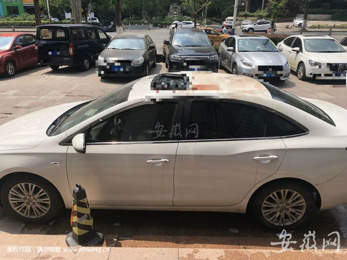 QQ圖片20190820130902