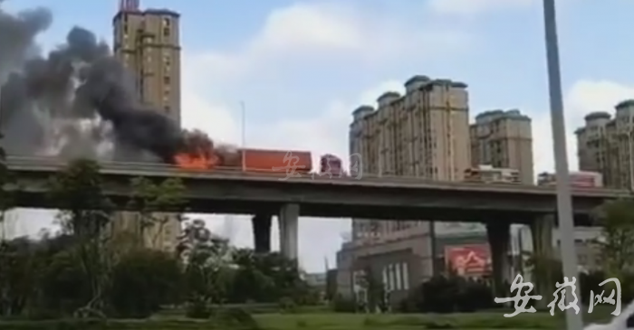 QQ圖片20190809132431