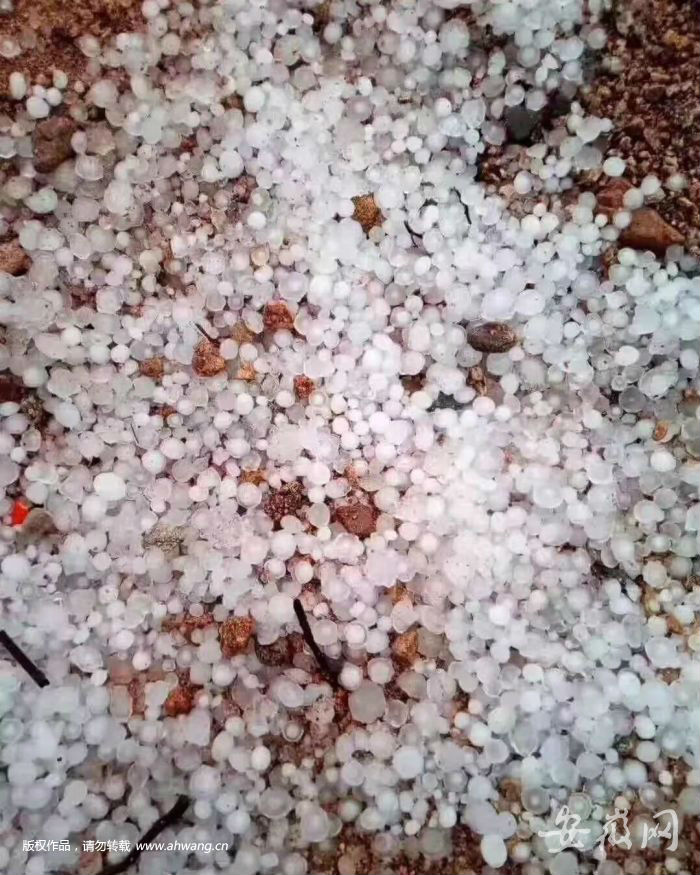 QQ圖片20190818195733