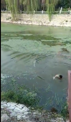 TIM圖片20190829112333
