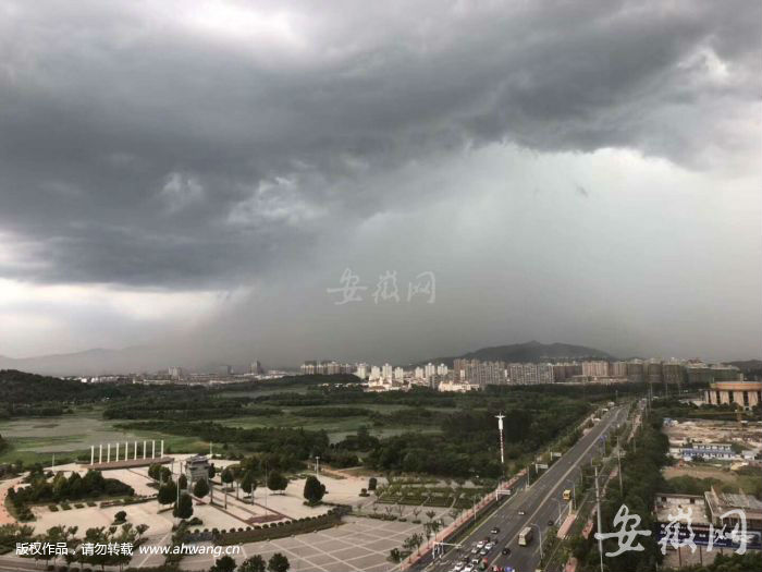 QQ圖片20190802172316