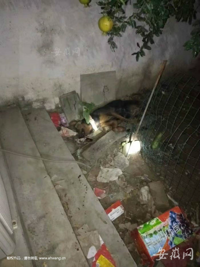 QQ圖片20190903124809