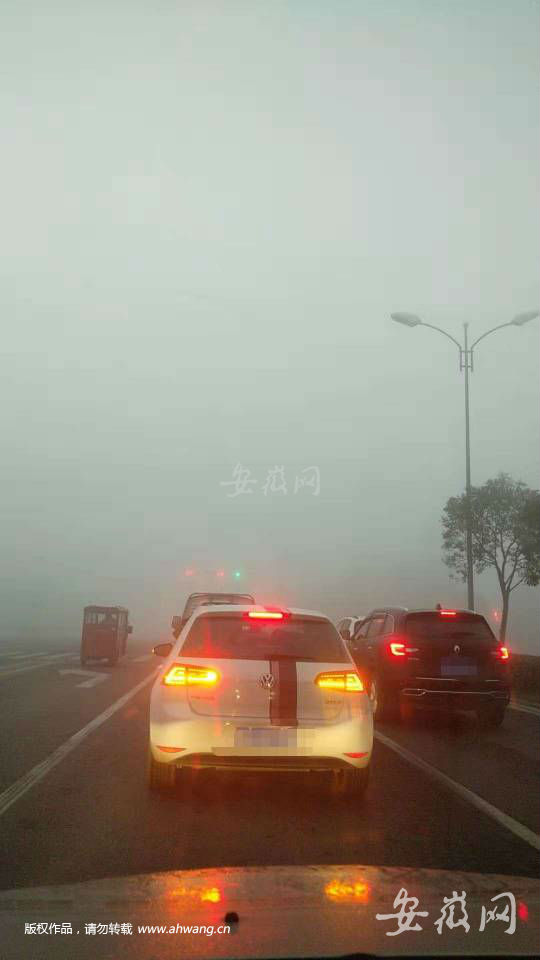 QQ圖片20190904185951