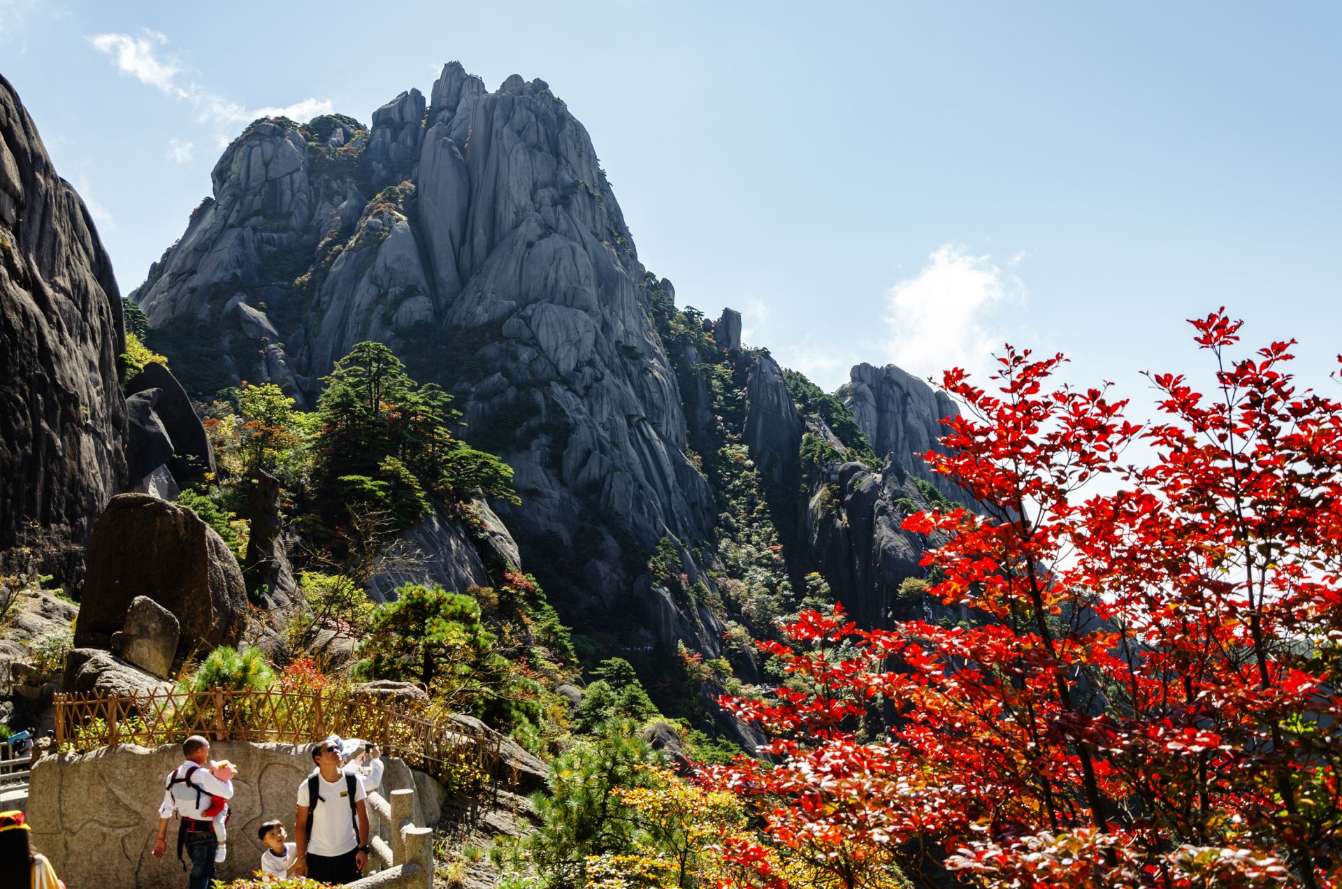 黄山秋景渐入佳境 姚育青摄黄山风景区迎壮丽日出云海景观 叶永青摄