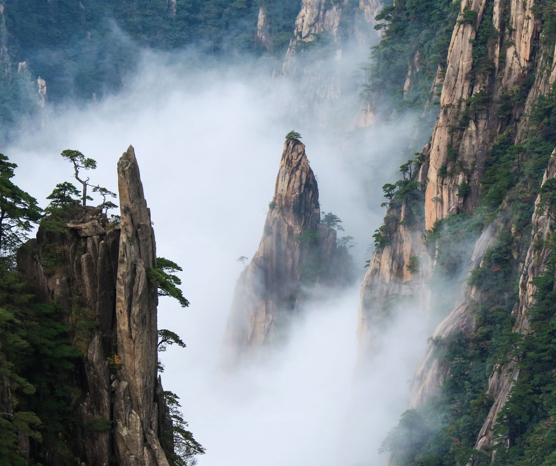 10月7日,近万人沉醉在黄山秋色图 _安徽网