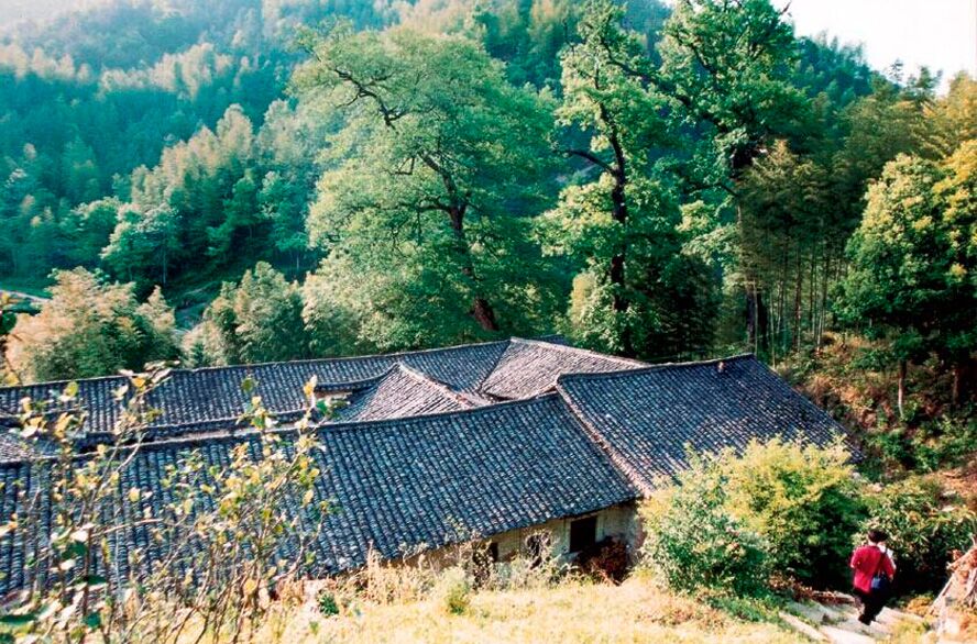 清澈透明的山泉水从村头流淌到村尾…走进潜山市龙潭乡万涧村,自然