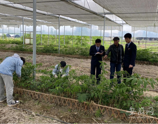 厚村乡人口_黎川县厚村乡:乡村旅游托起农民致富梦