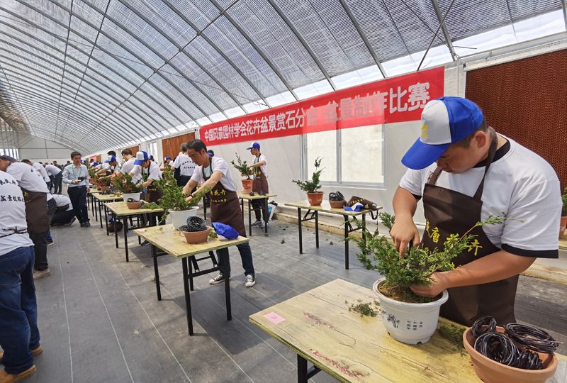 ”“真是一部学术派电视剧_普朗东