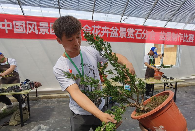 当年风光无限的程前2022年2月2日孔刘