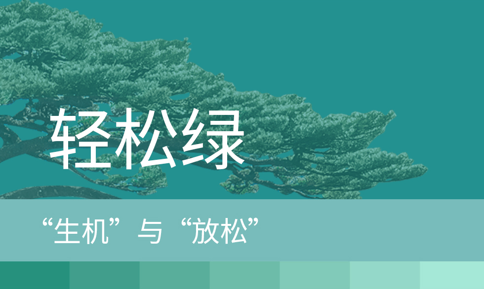 黄山第一网
