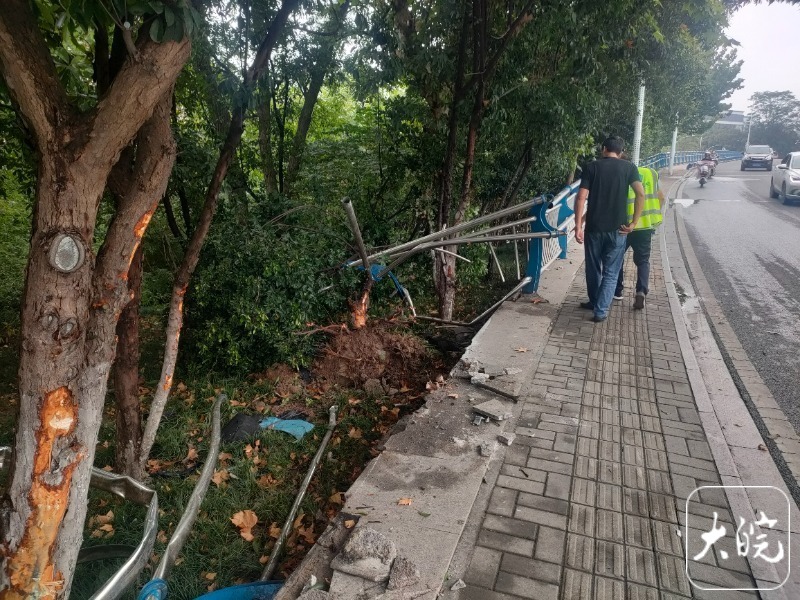 保时捷撞毁护栏绿化树连根雷火电竞平台 雷火电竞拔起 事发合肥琥珀潭附近(图4)