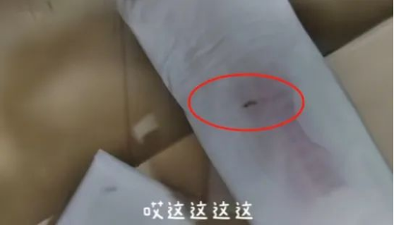 女大学生称网购卫生巾出现活虫找客服反映却被威胁？多方回应(图1)