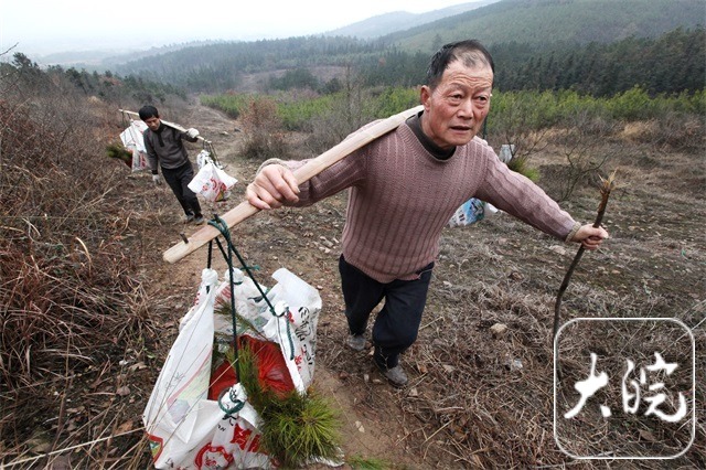 南宫NG·28(中国)官方网站造林十年遇山火化为灰烬 母亲妻子双双离世 安徽男子(图2)