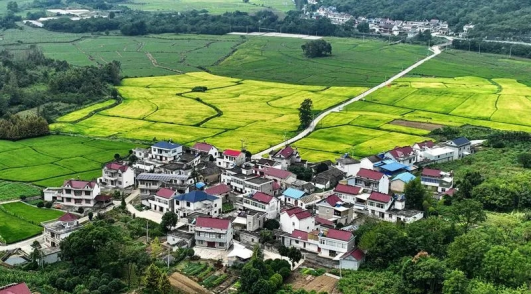 安徽东至县：绽放全域魅力 绘就全景画卷(图7)