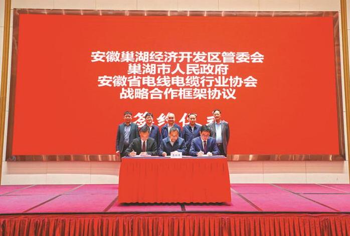 安徽省电线电缆行业协会招商座谈会在巢湖召开