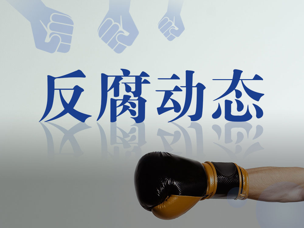 经湖南省委批准，肖新平被开除党籍