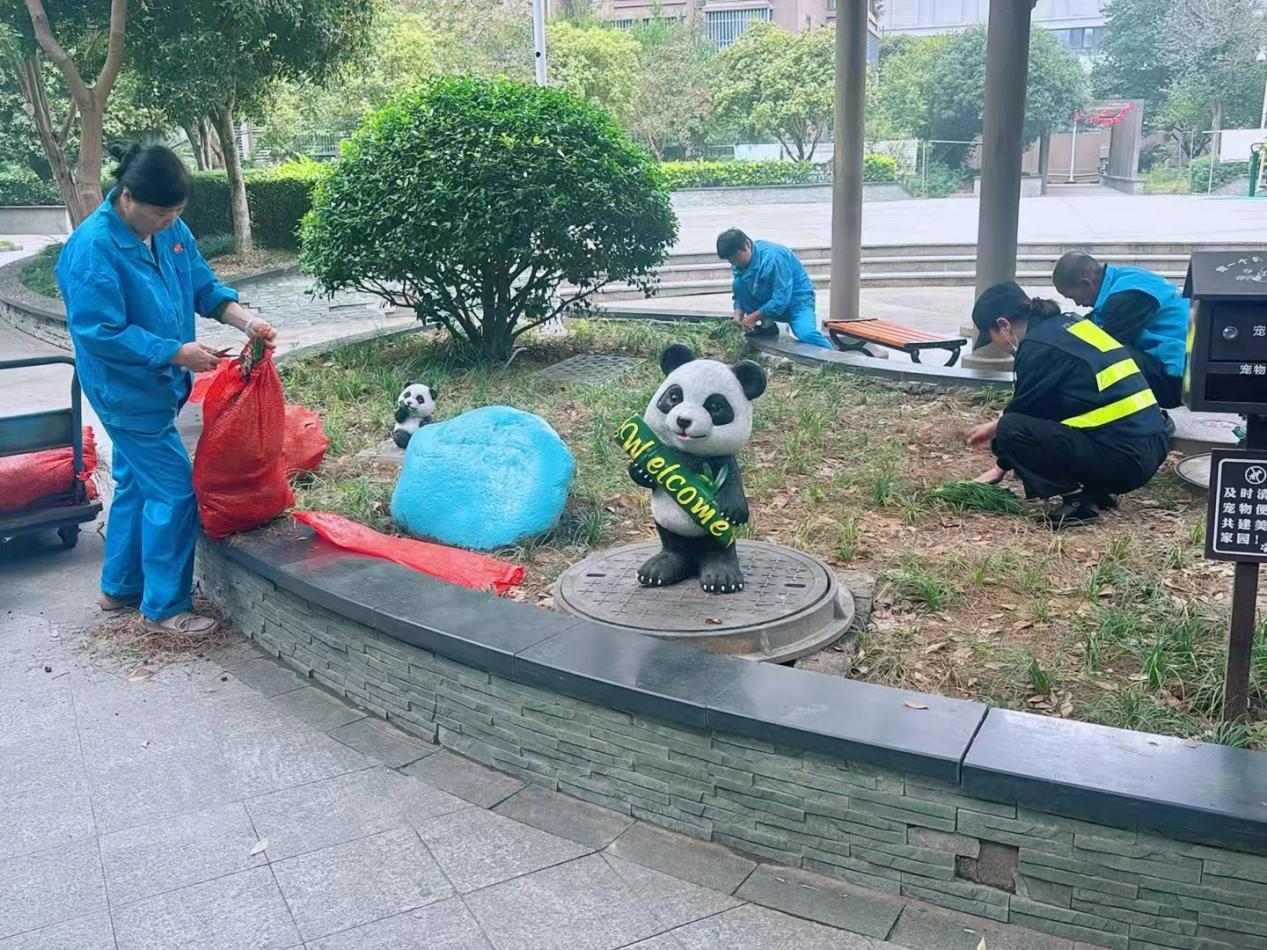 微信图片_20250605113158