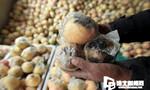 淮北百万斤苹果滞销：为无公害红富士 已认证绿色食品
