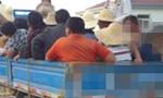 货车违法载人遇查 同车人欲塞钱躲处罚被拒