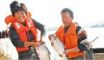 阜陽茨淮新河水美魚兒肥  漁民收入年年增收