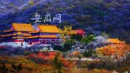 【五大发展美好安徽】淮北：煤城变身“绿色美城”