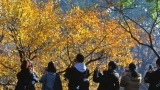 “冬至”过后暖阳依旧 淮南本周天气继续晴好