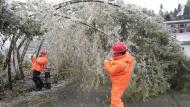 安徽發(fā)布暴雪黃色預警 最深積雪在六安為10厘米