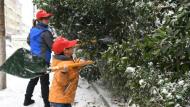 小小年紀就做志愿者 7歲娃和媽媽一起上街除雪